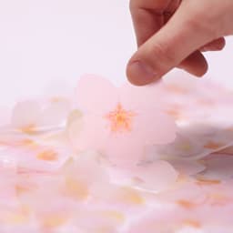 [APREE]スティッキーリーフ_透明桜(Pink,S) 4