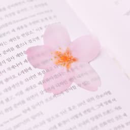 [APREE]スティッキーリーフ_透明桜(Pink,S) 5