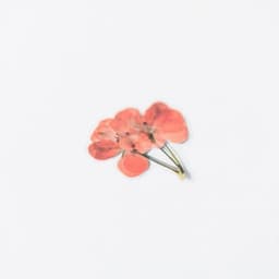 [アプリ] 押し花ステッカー_ゼラニウム 4