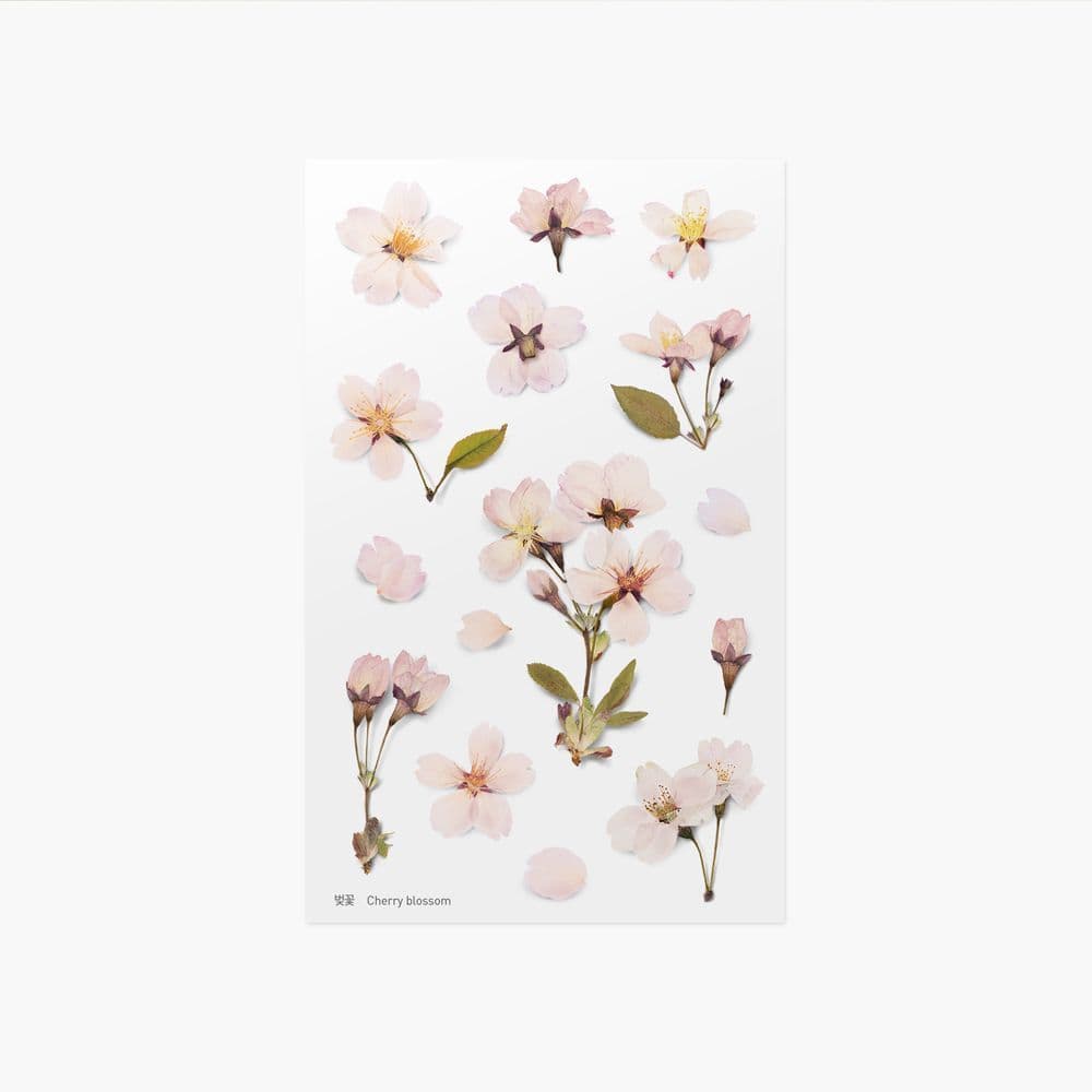[アプリ]押し花ステッカー_桜 1
