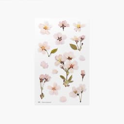[アプリ]押し花ステッカー_桜 1