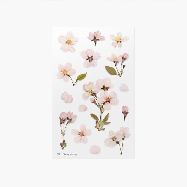 [アプリ]押し花ステッカー_桜