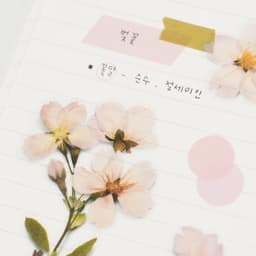 [アプリ]押し花ステッカー_桜 3