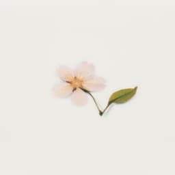 [アプリ]押し花ステッカー_桜 4