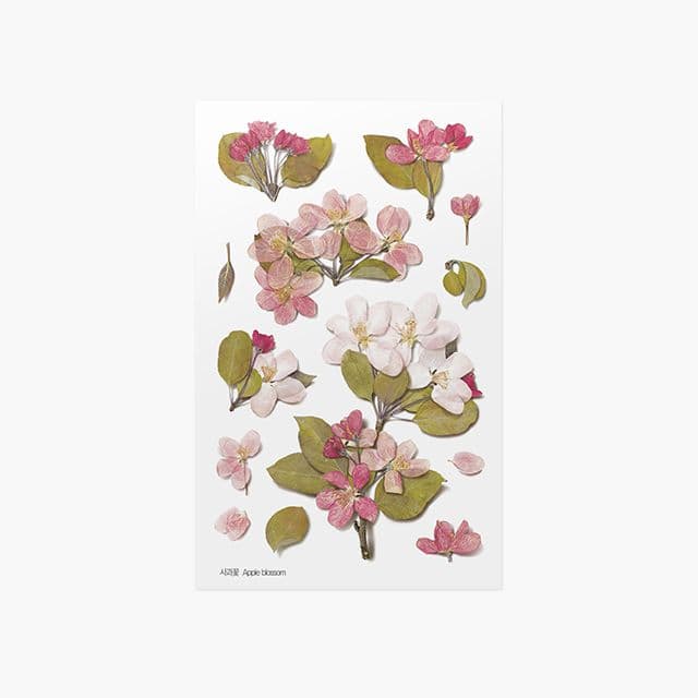 [アプリ]押し花ステッカー_リンゴの花