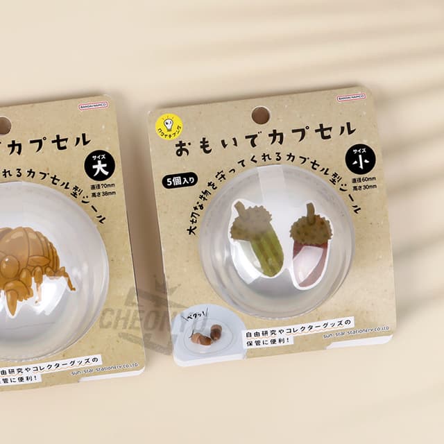 大切な思い出を保管するメモリーカプセル