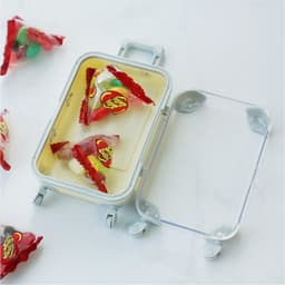 [ブリスクスタイル]カラーミニチュアキャリーケース アクセサリー小物収納ケース 3