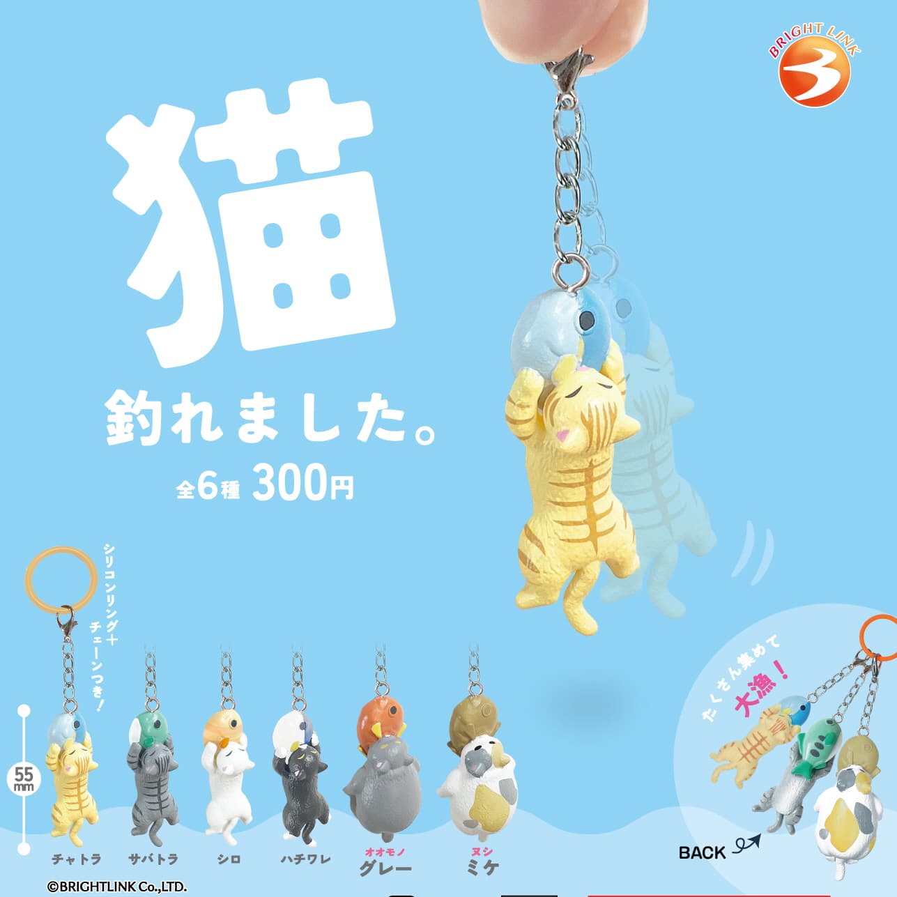[ブライトリンク]カプセル_猫を釣りました！ (40個 1セット)_ガチャボックス無料贈呈 1