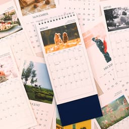 [インディゴ]2027 心の写真 隙間卓上カレンダー（フォトデスクカレンダー） 4